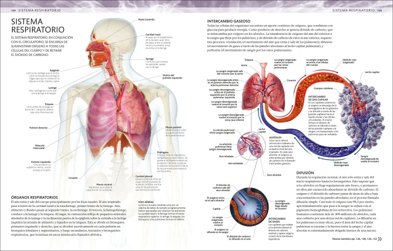 Atlas de anatomía para colorear
