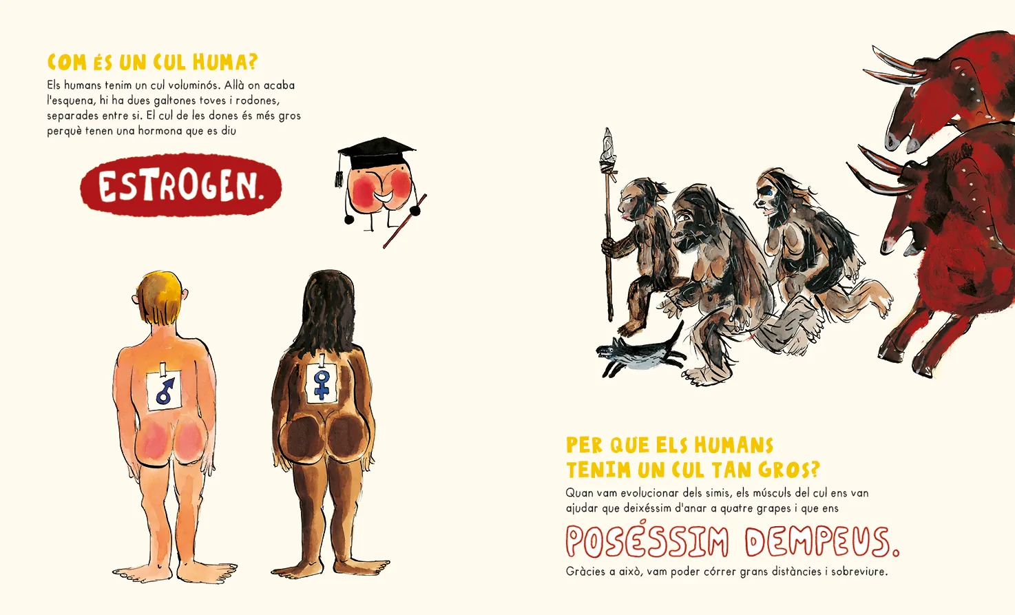 El llibre dels culs