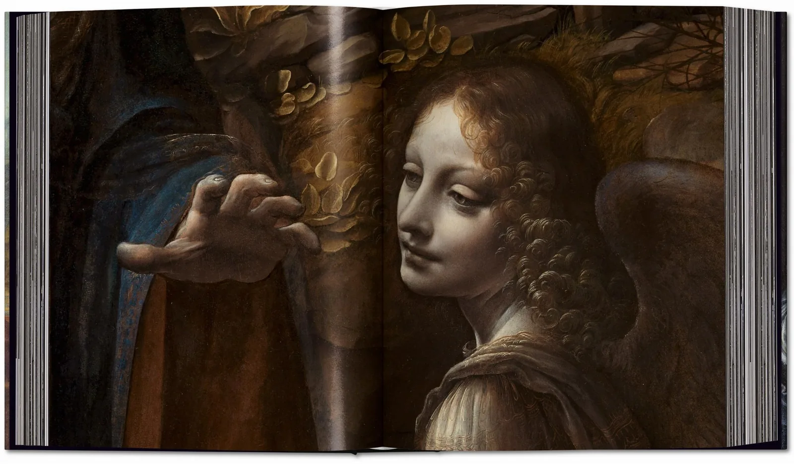 Leonardo