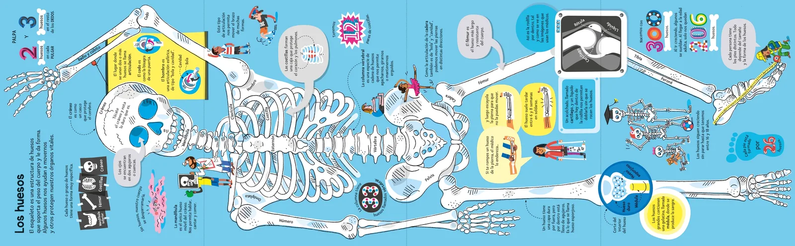 El gran libro del cuerpo humano