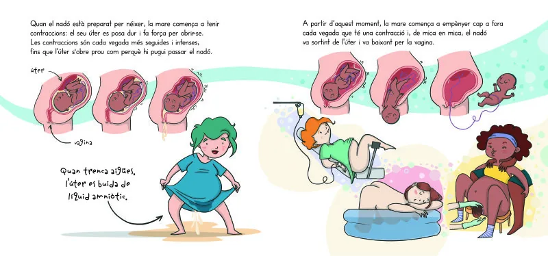 Així es fa un nadó! (mini Menstruita)