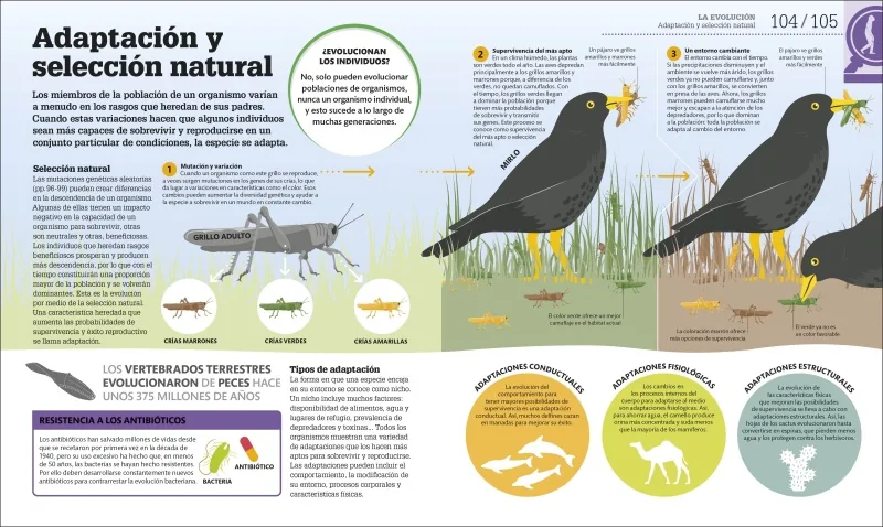 Cómo funciona la biología