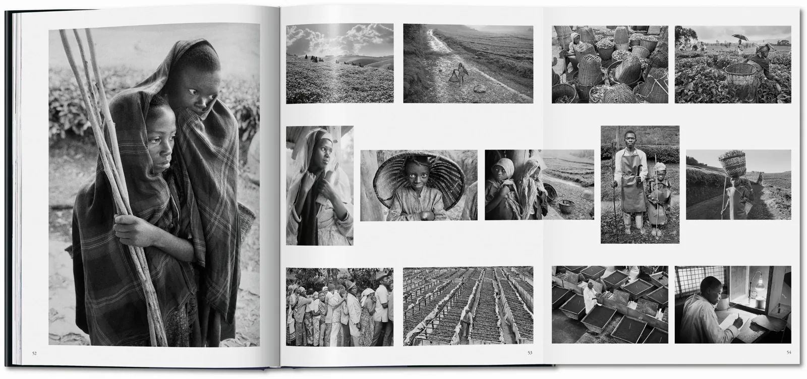 Sebastião Salgado