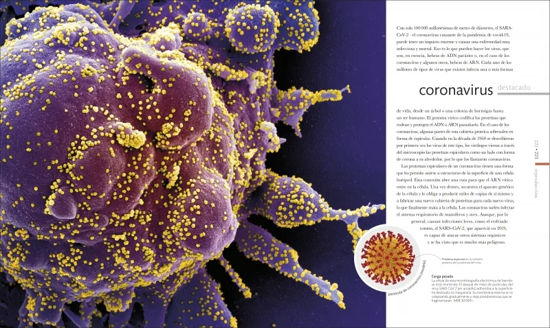 Vida microscópica (La guía visual definitiva)