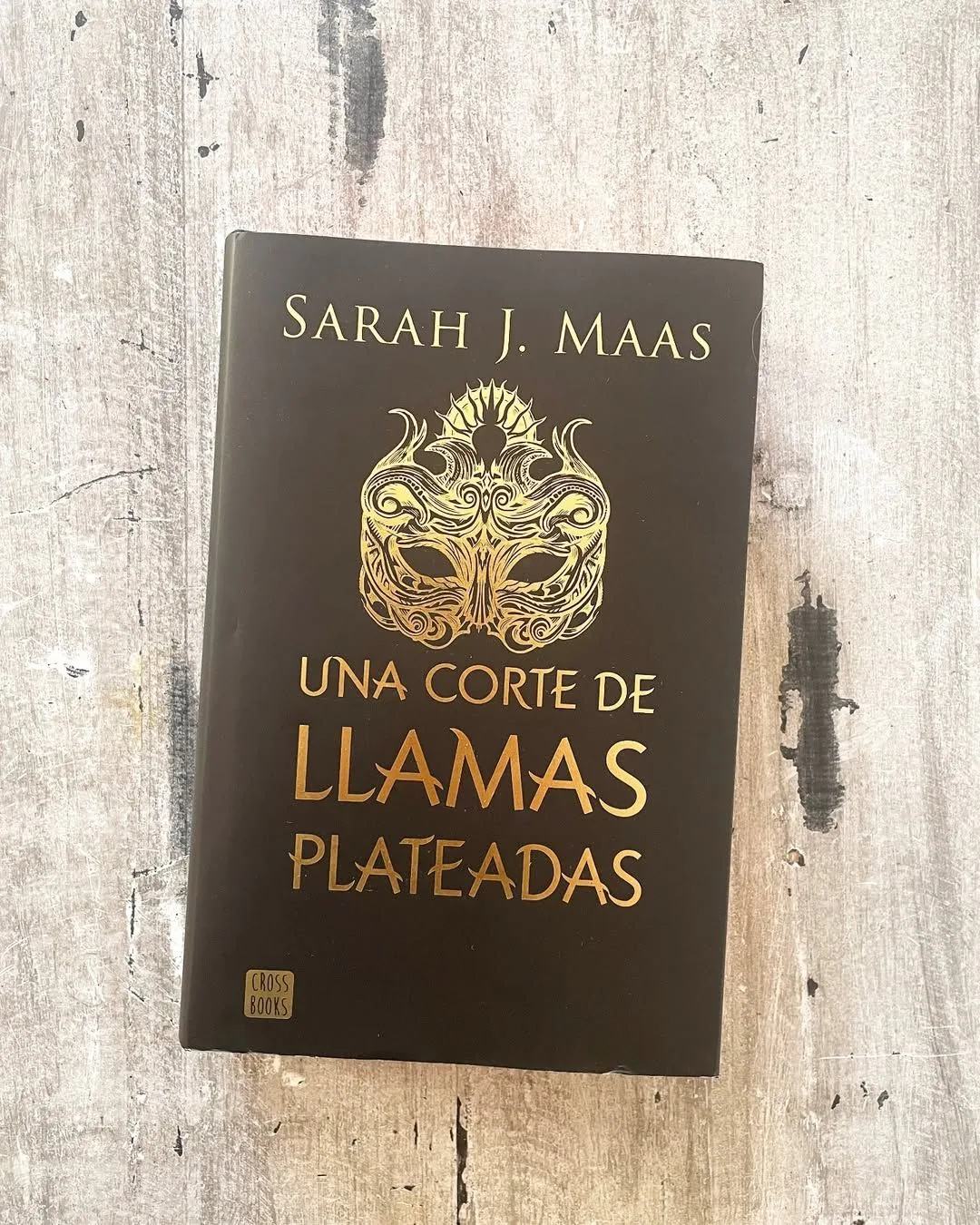 Una corte de llamas plateadas. Edición especial