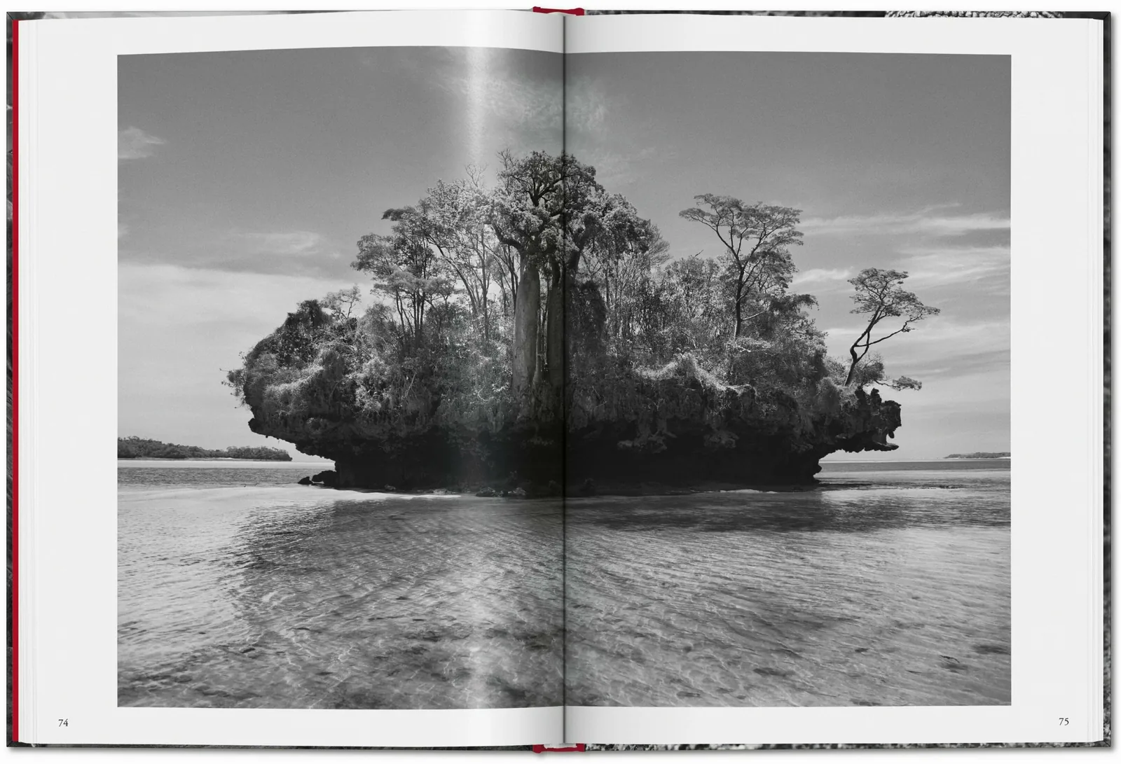 Sebastião Salgado