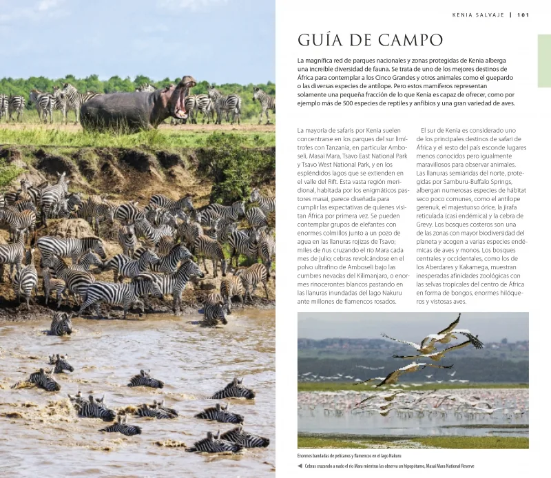 Kenia (Guías Visuales)