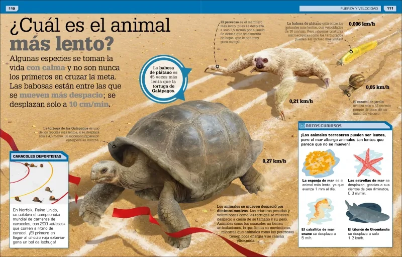 ¡Increíble pero cierto! Animales