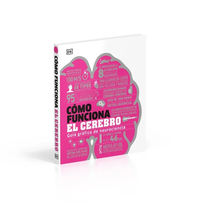 Cómo funciona el cerebro