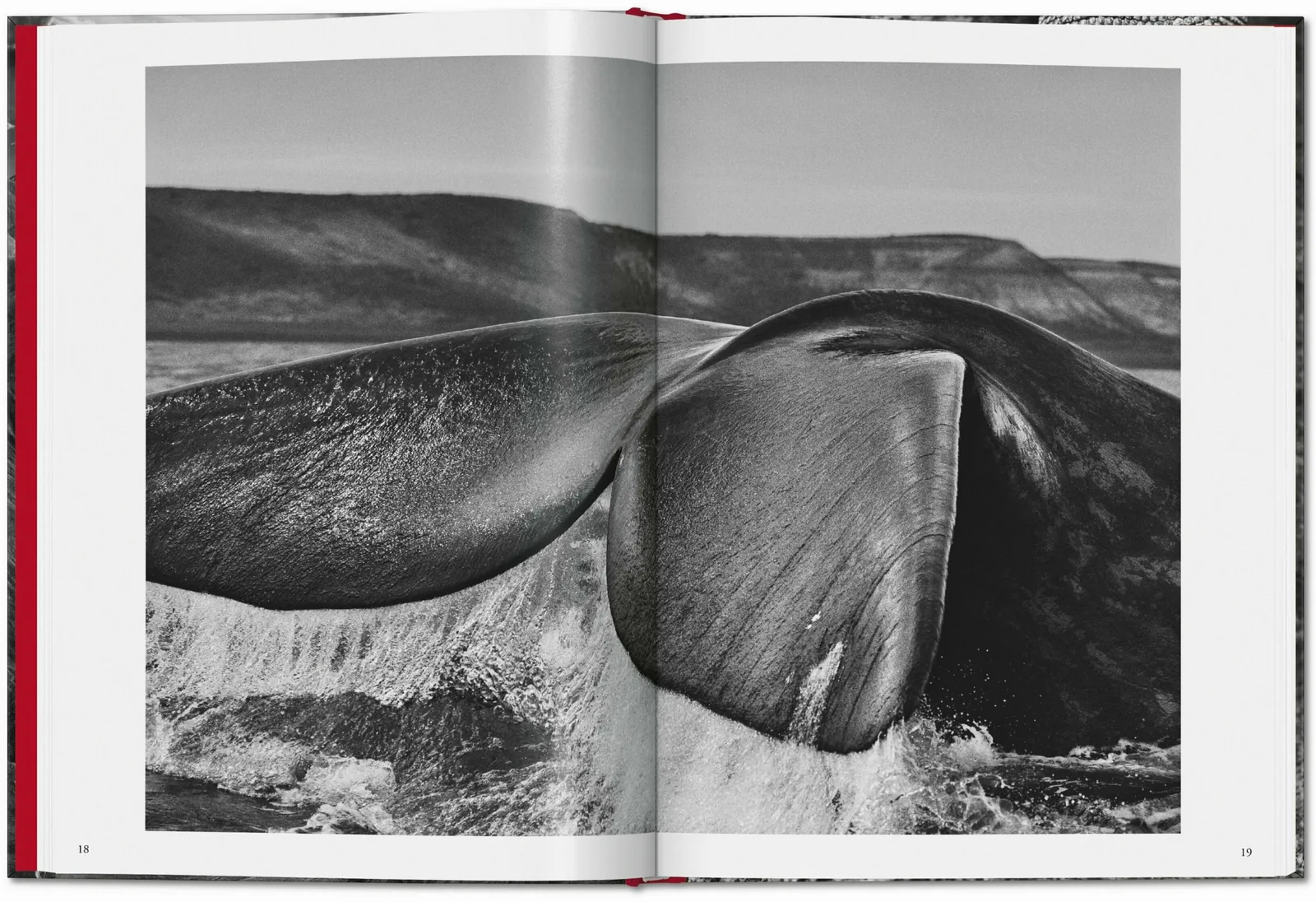 Sebastião Salgado