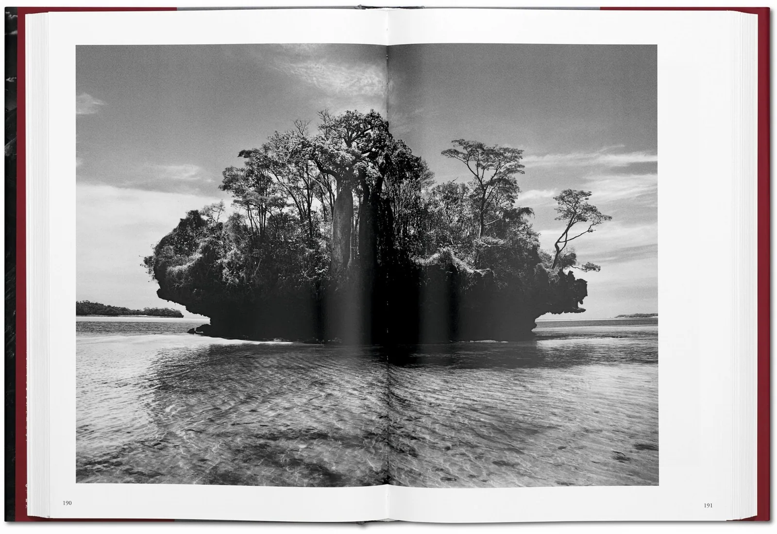 Sebastião Salgado