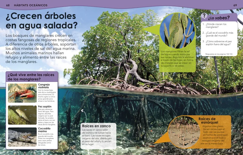 ¿Sabías qué? Océanos