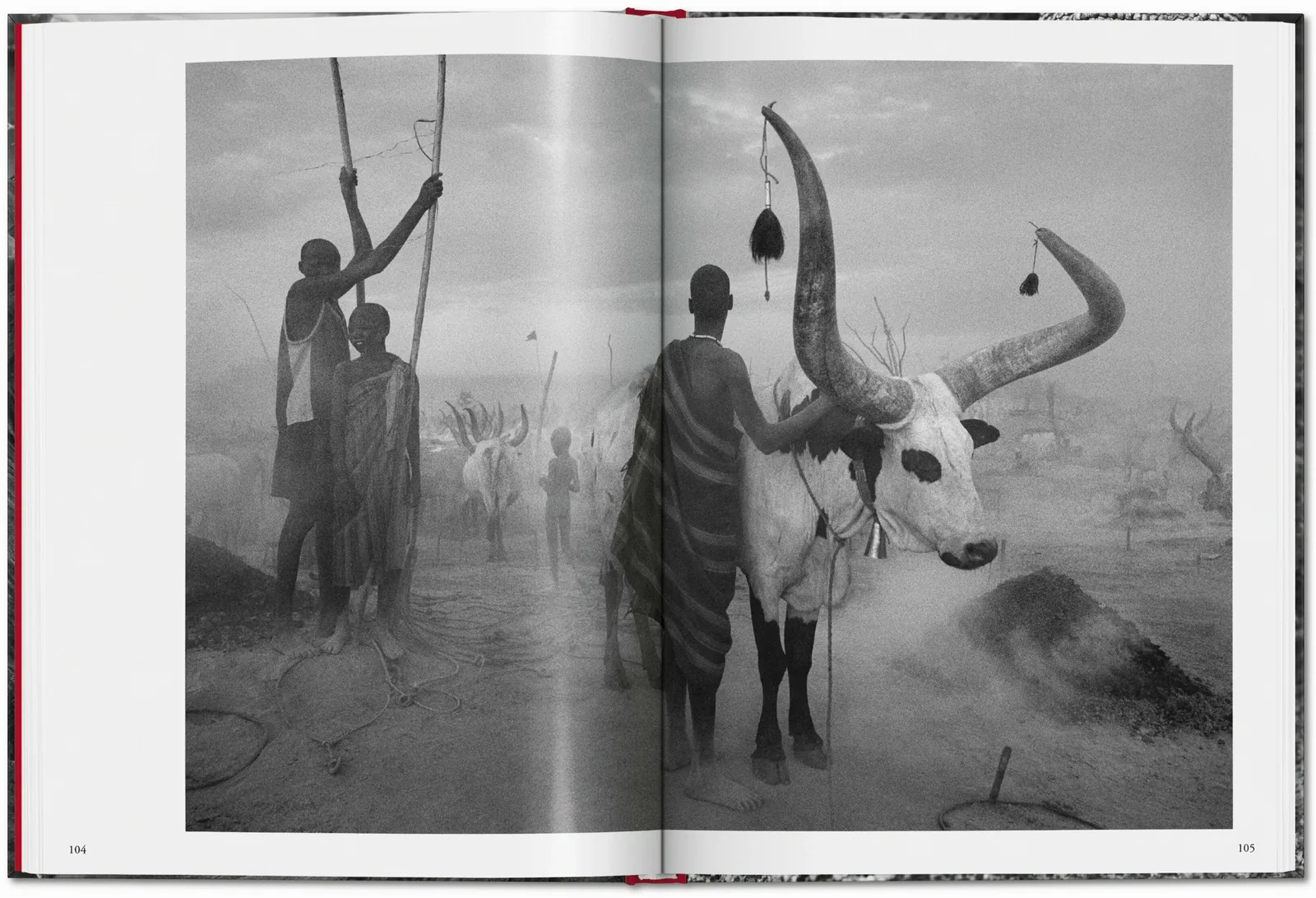 Sebastião Salgado