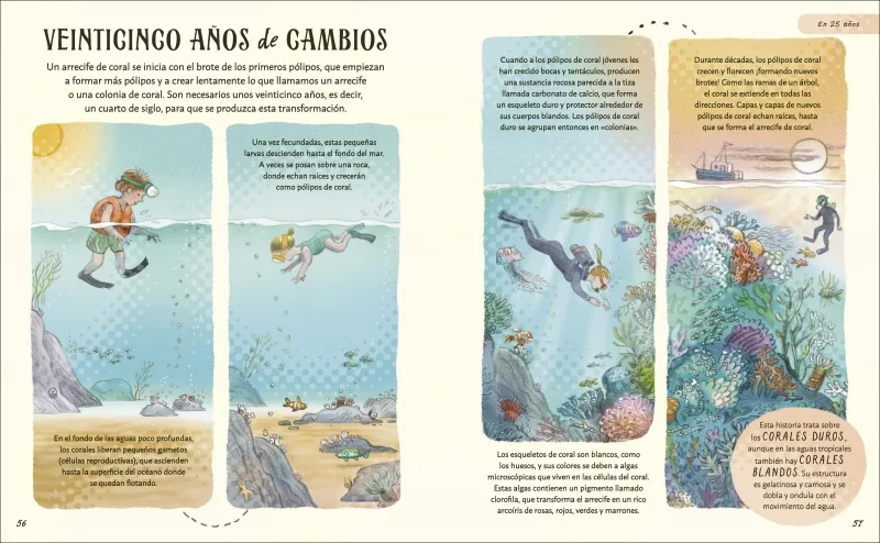 Paciencia
