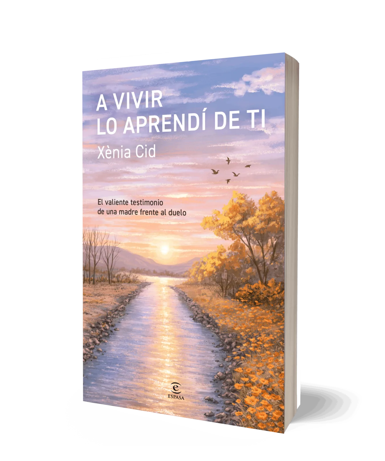 A vivir lo aprendí de ti
