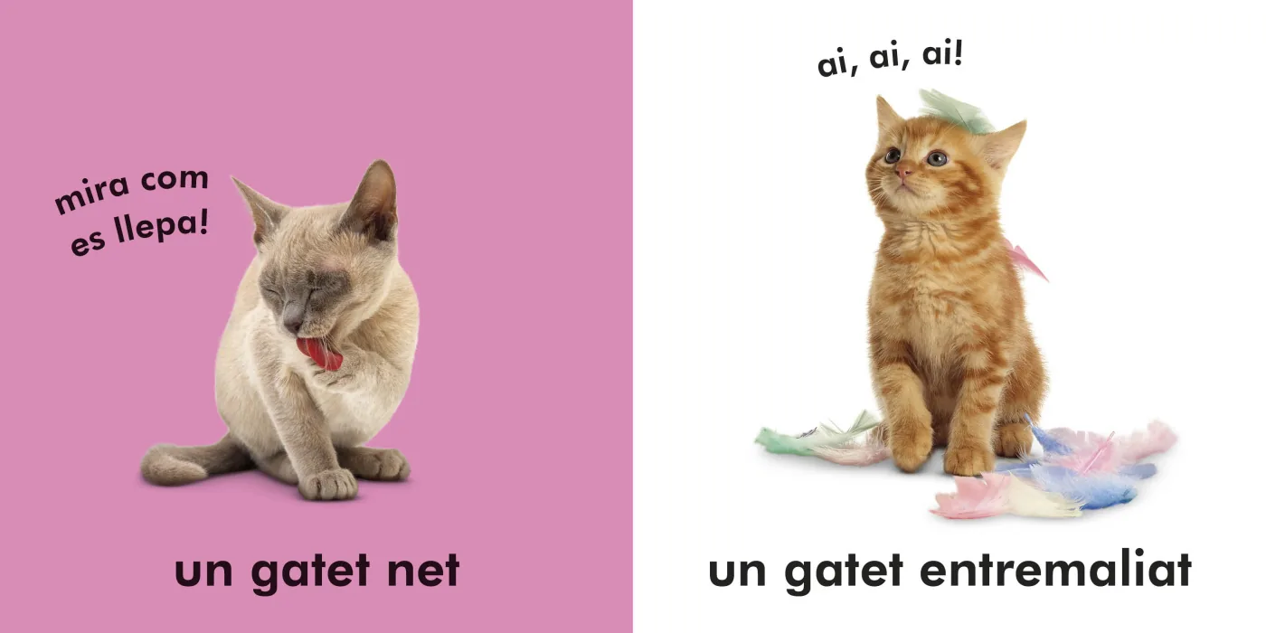 Gatets (Toca i aprèn)