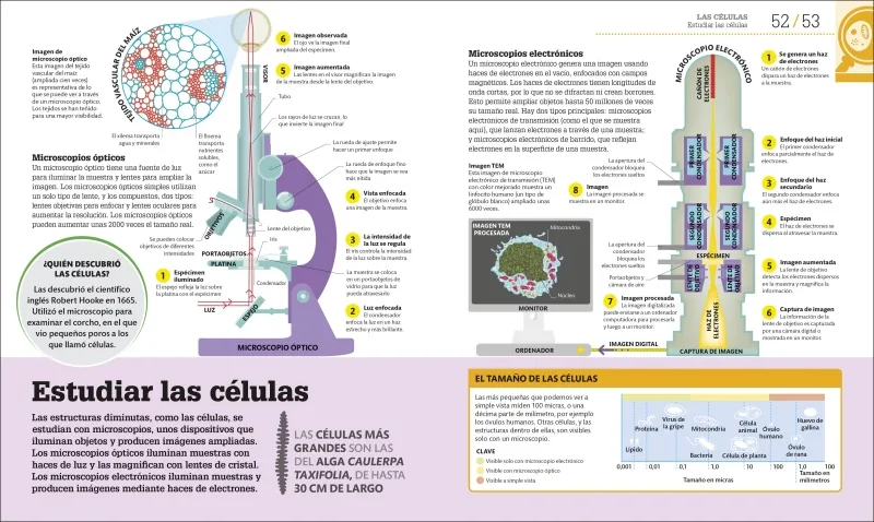 Cómo funciona la biología