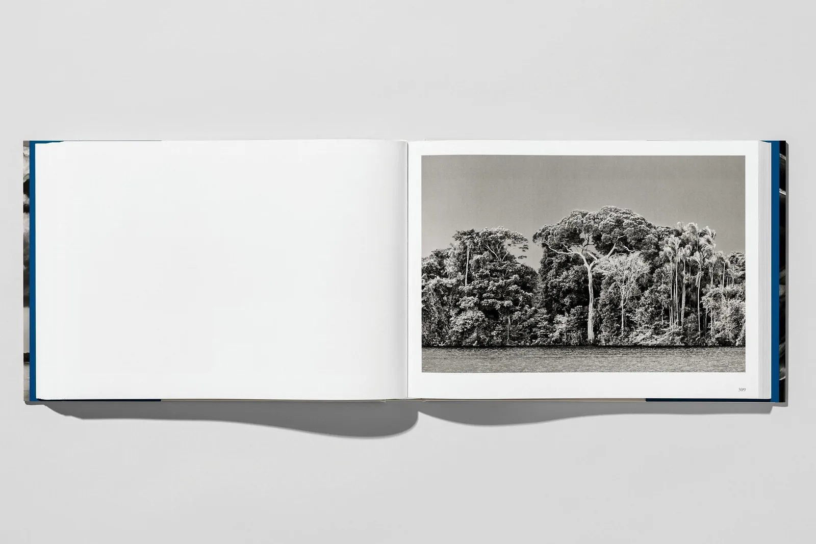 Sebastião Salgado