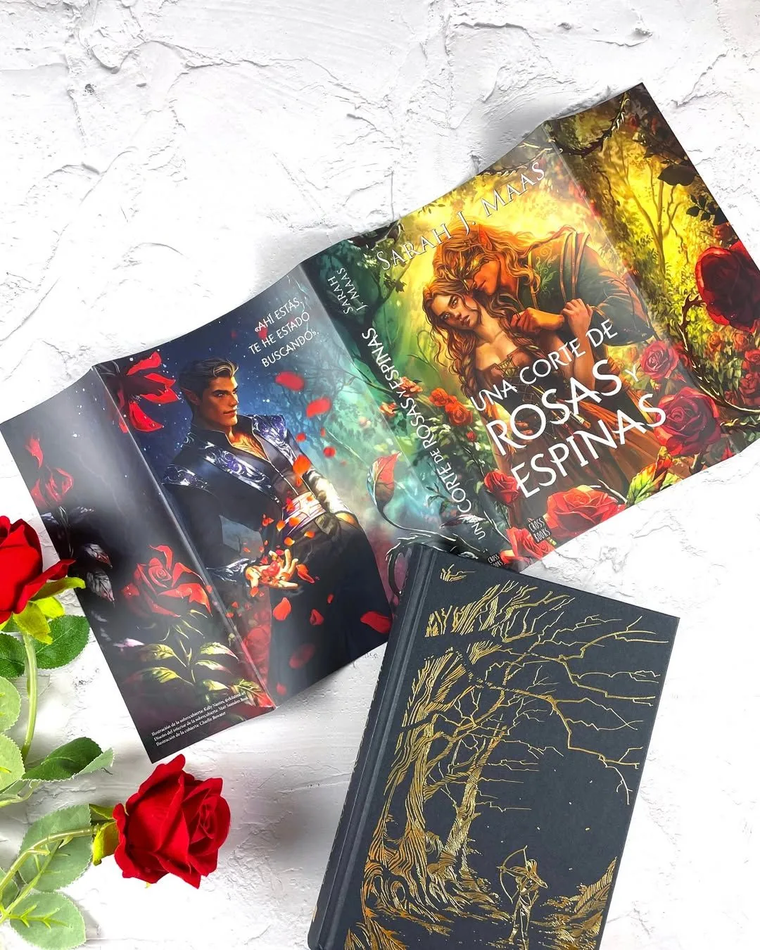 Una corte de rosas y espinas. Edición especial con sobrecubierta reversible