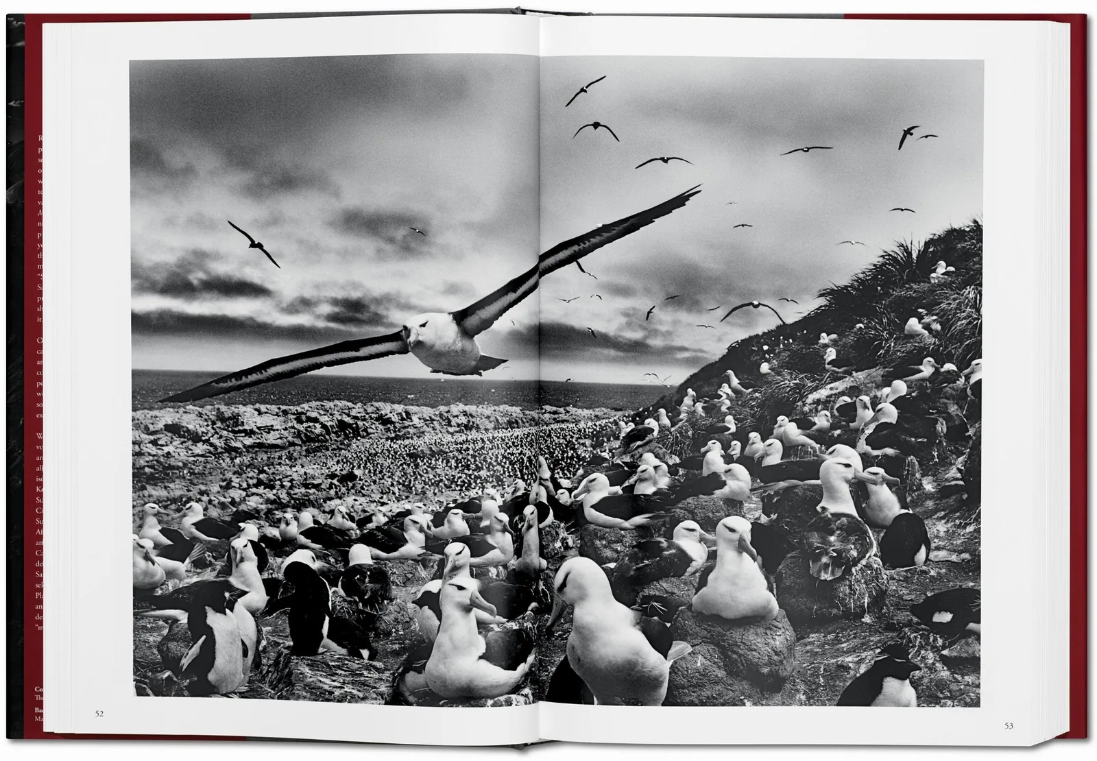 Sebastião Salgado