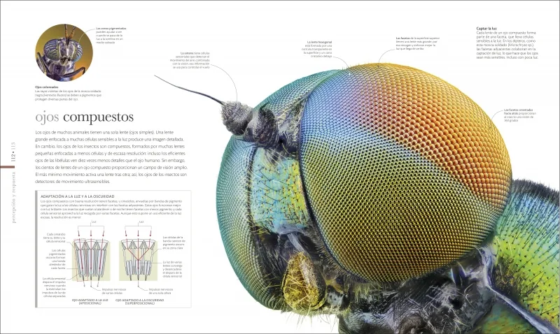 Vida microscópica (La guía visual definitiva)
