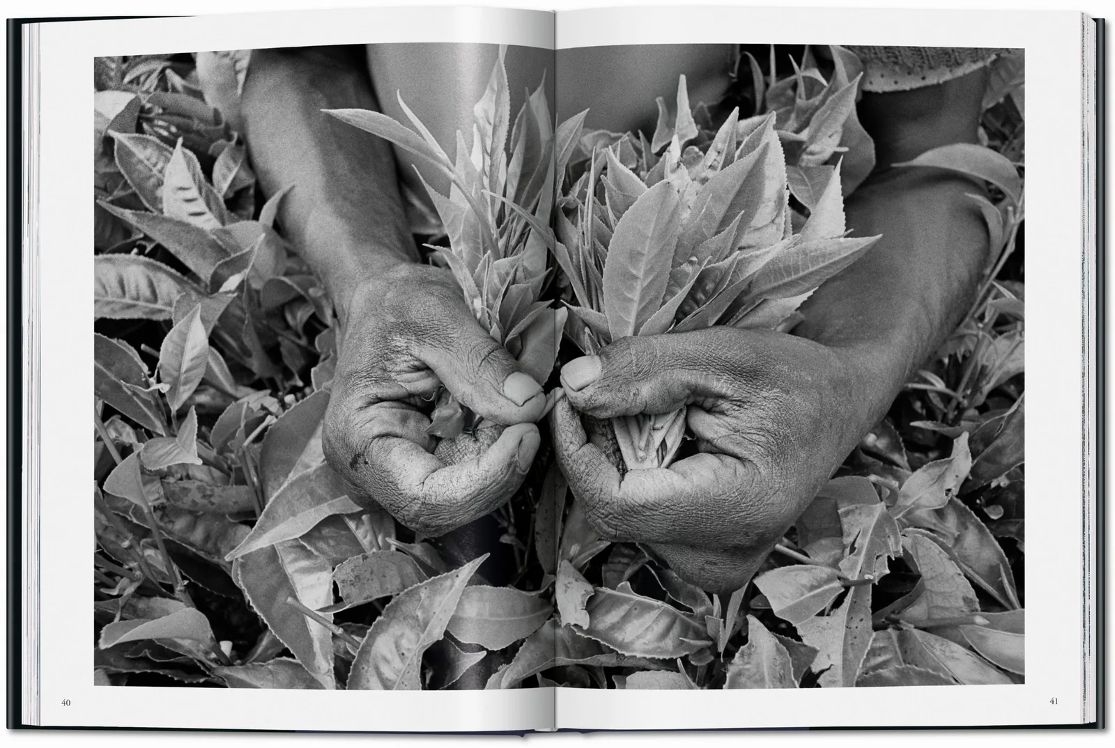 Sebastião Salgado