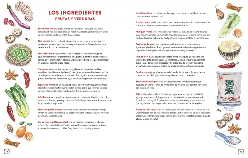 China: las mejores recetas (Sabores del mundo)