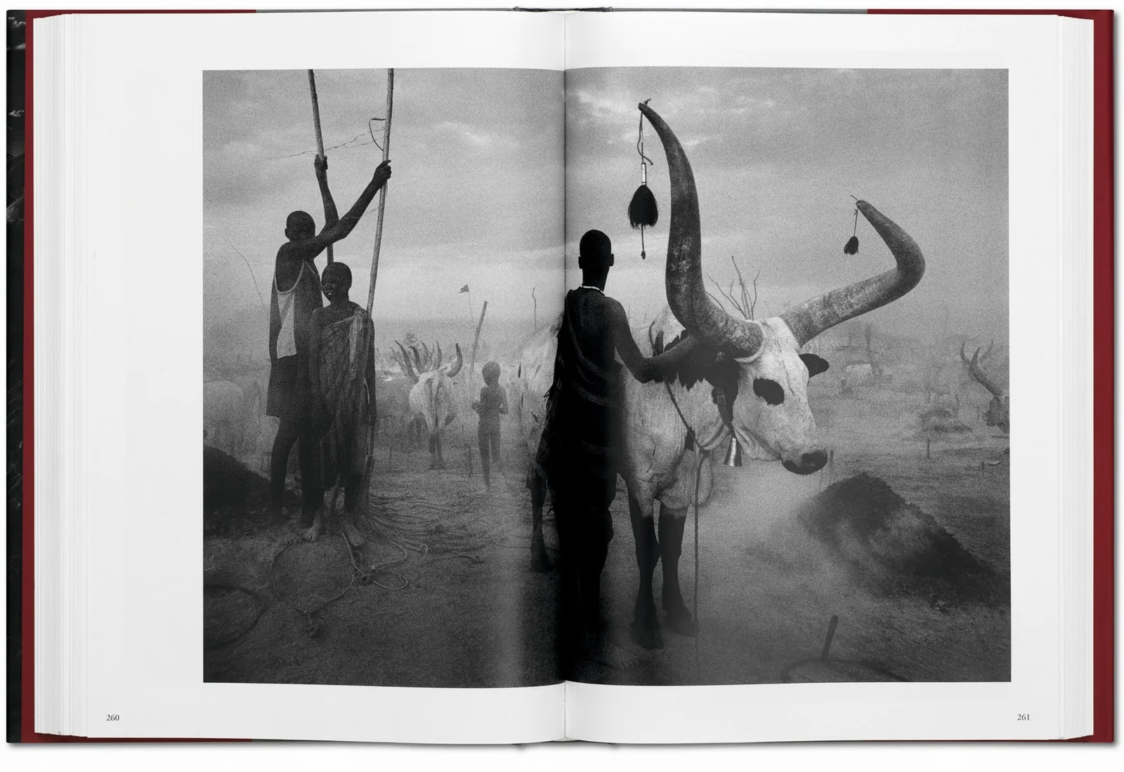 Sebastião Salgado