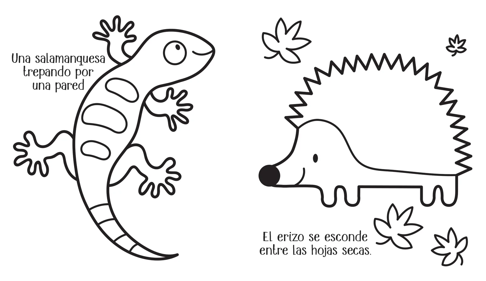 Animales