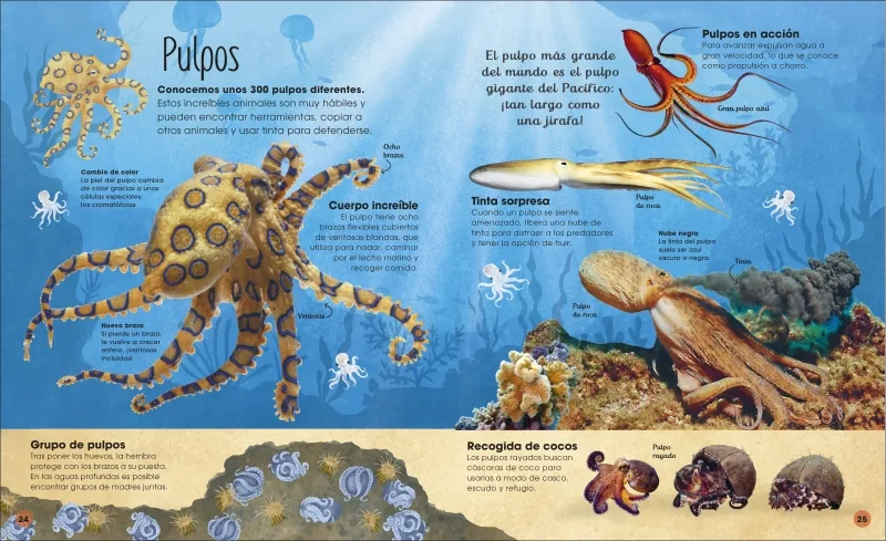 La vida secreta de los océanos