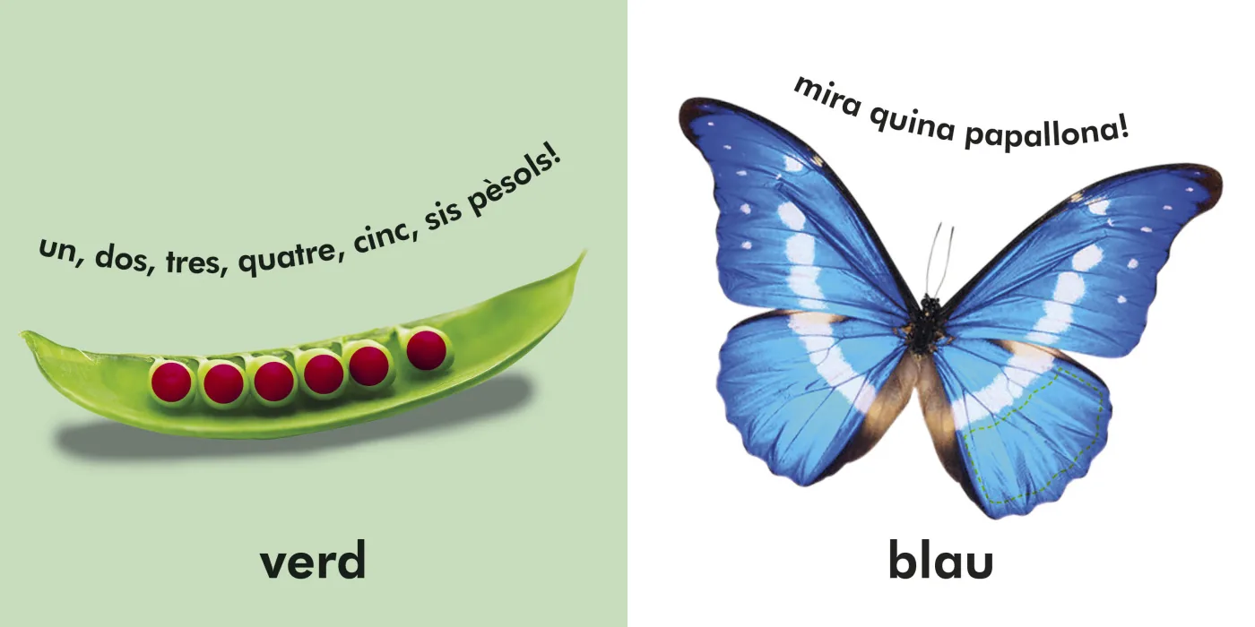 Colors (Toca i aprèn)