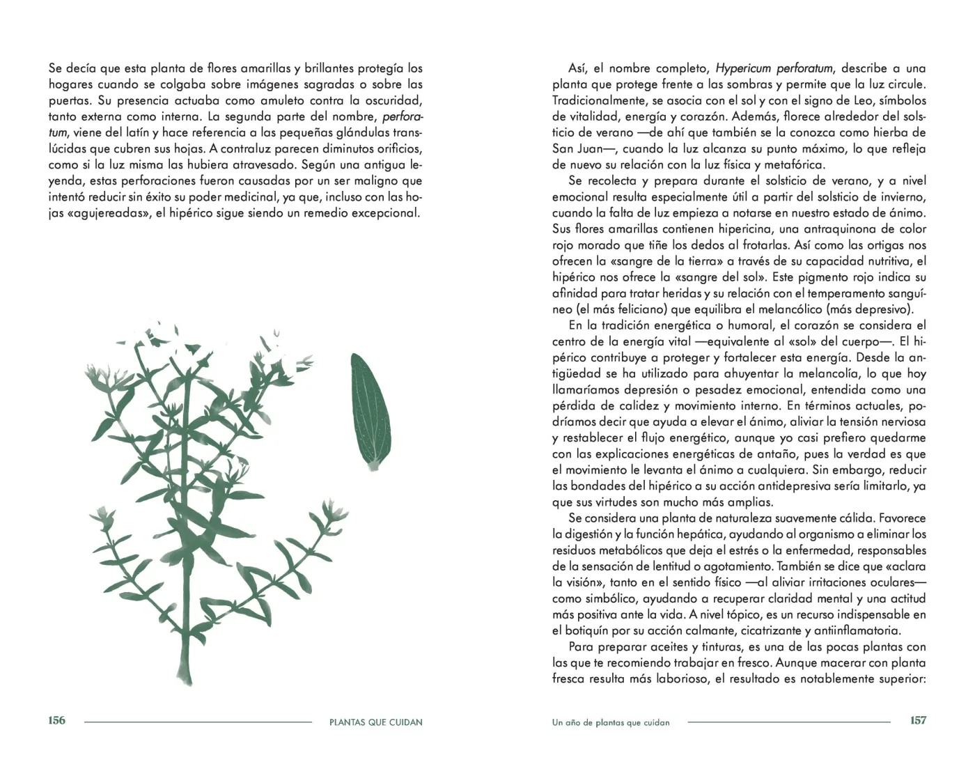 Plantas que cuidan