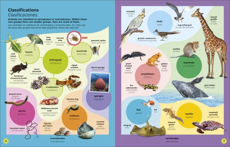 1000 palabras: Animales / 1000 Words: Animals