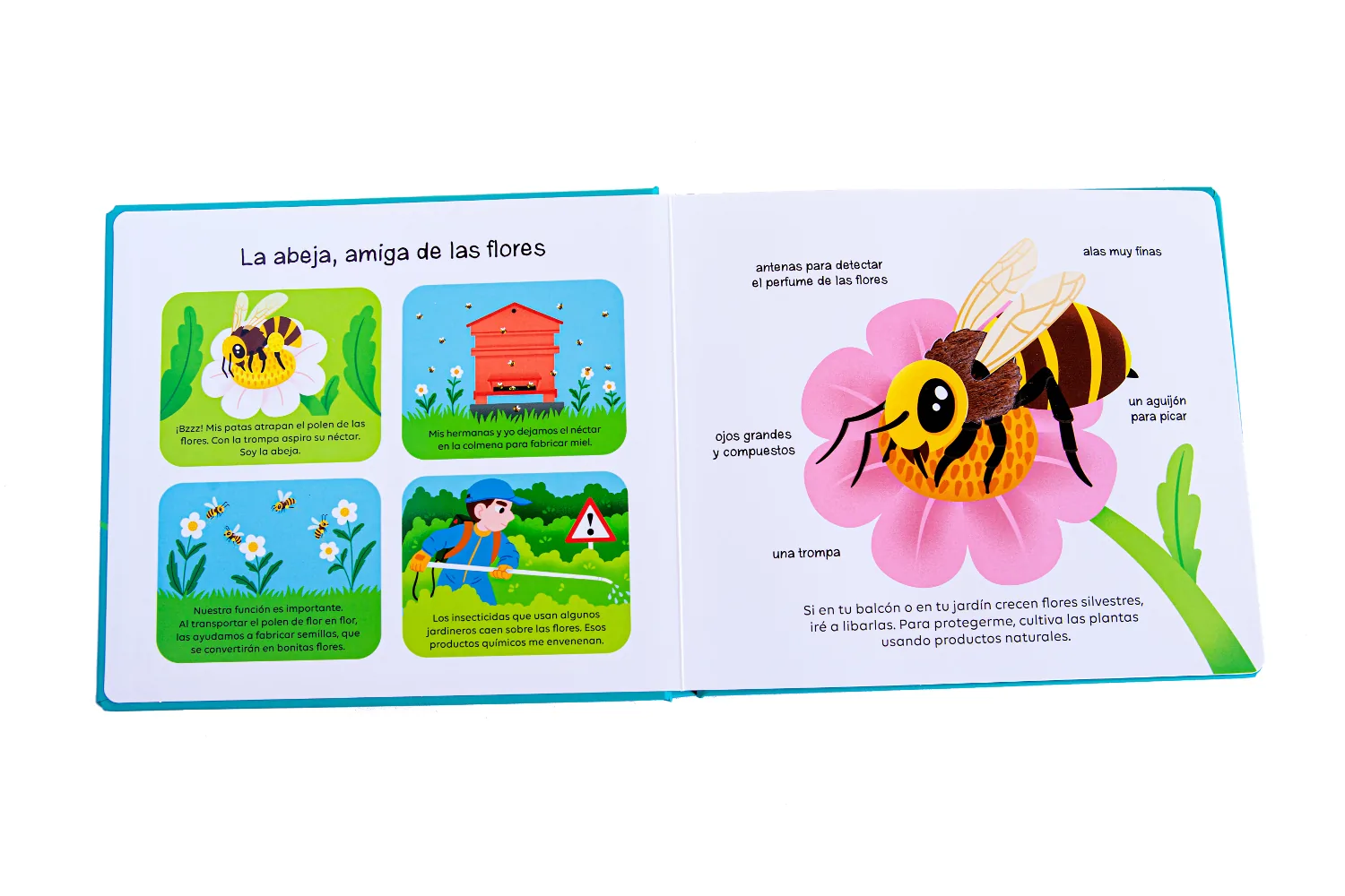 Animales que proteger