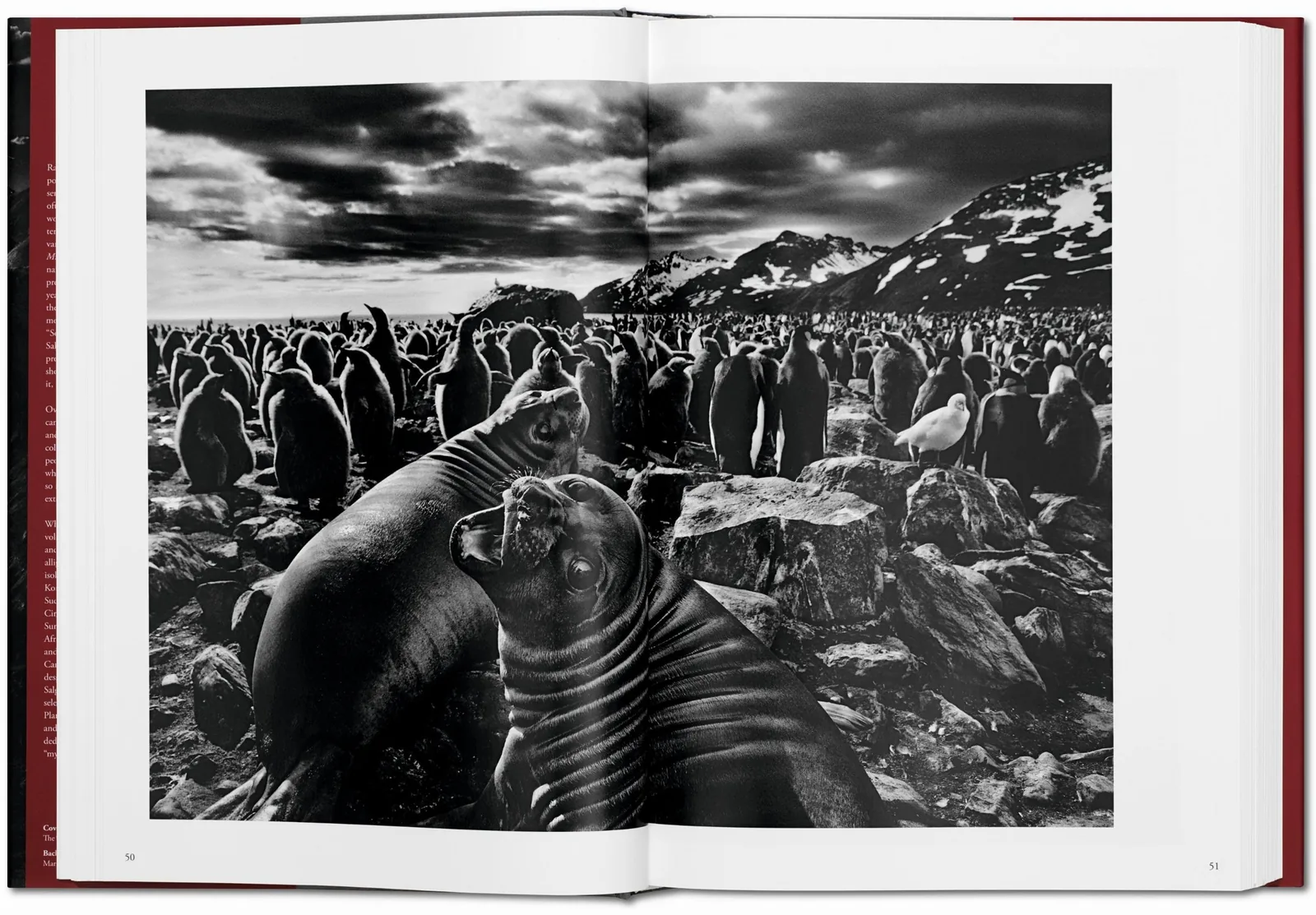 Sebastião Salgado