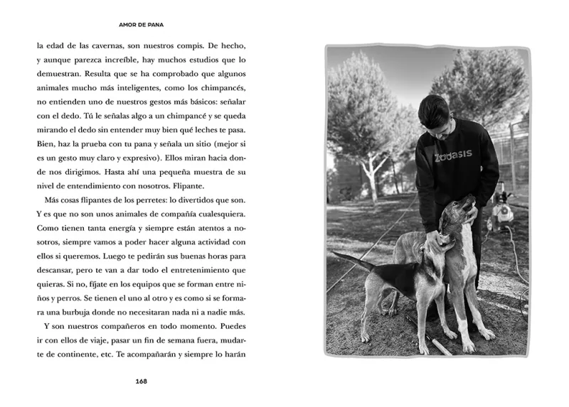 Amor de pana