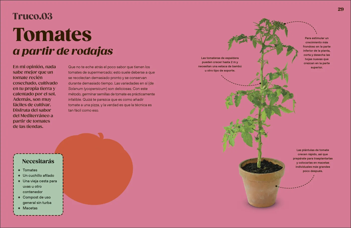 Cómo cultivar sin huerto