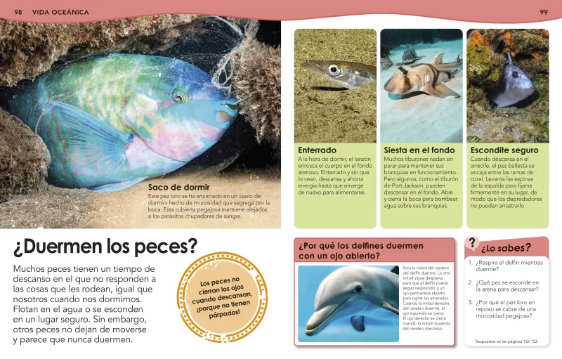 ¿Sabías qué? Océanos