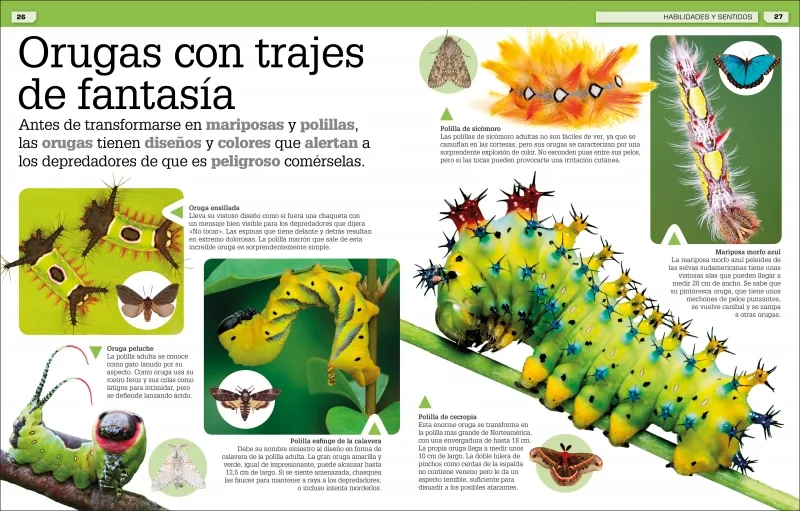 ¡Increíble pero cierto! Animales