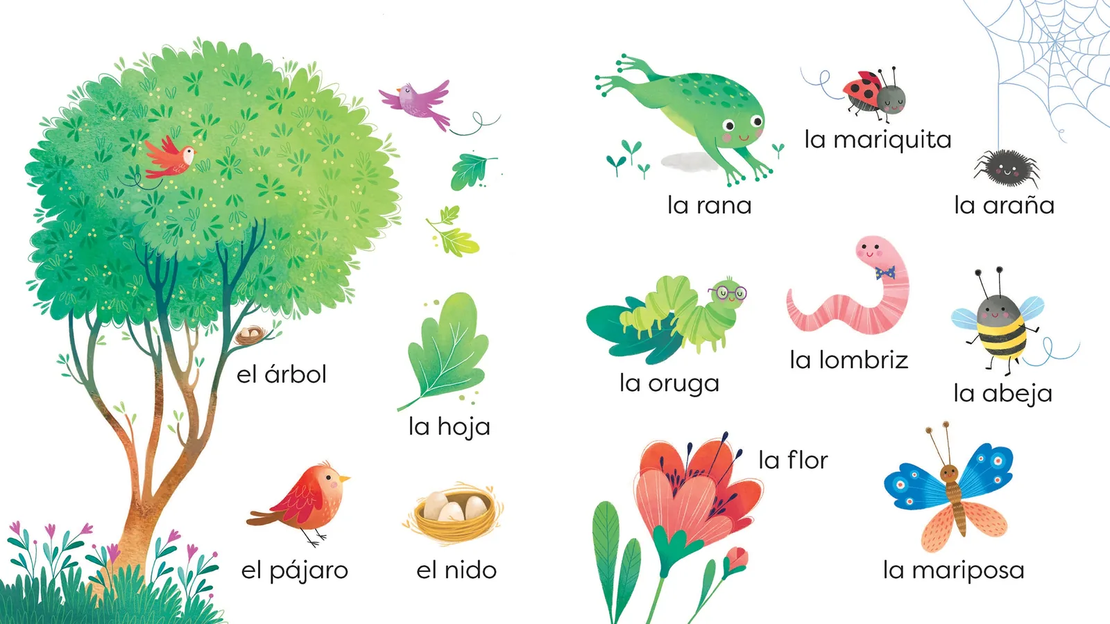 Vamos a aprender palabras