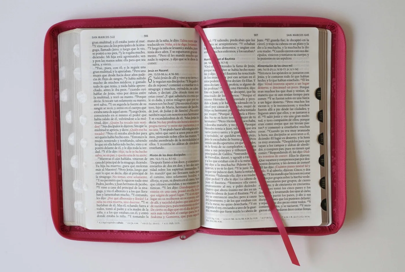 Biblia Reina Valera 1960 letra grande. Símil fucsia