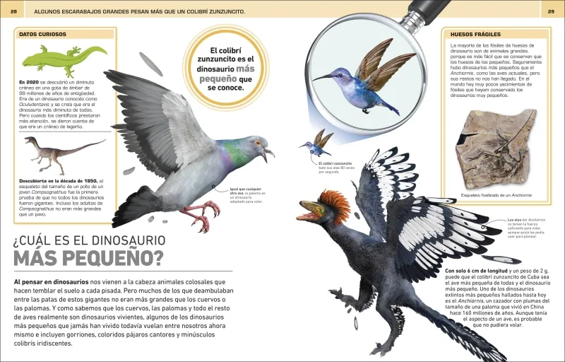 ¡Increíble pero cierto! Dinosaurios