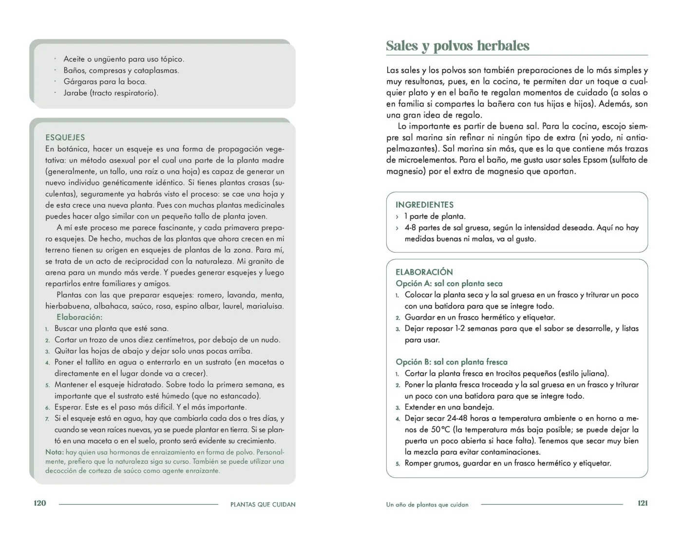 Plantas que cuidan