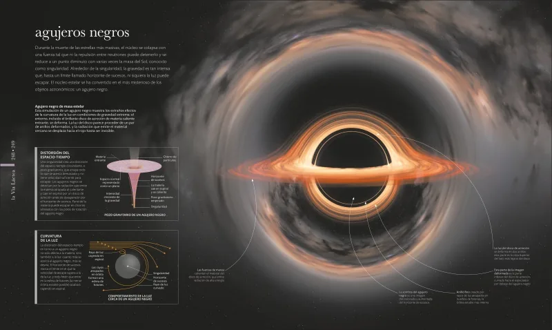 Cosmos
