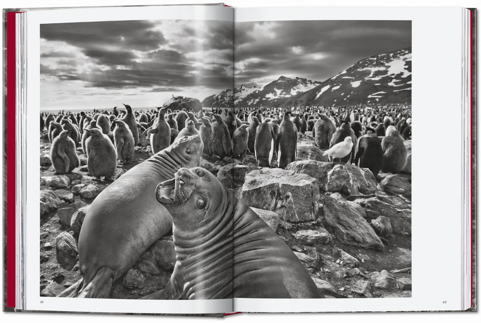 Sebastião Salgado
