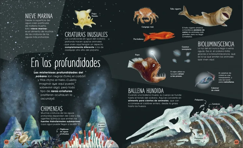 La vida secreta de los océanos