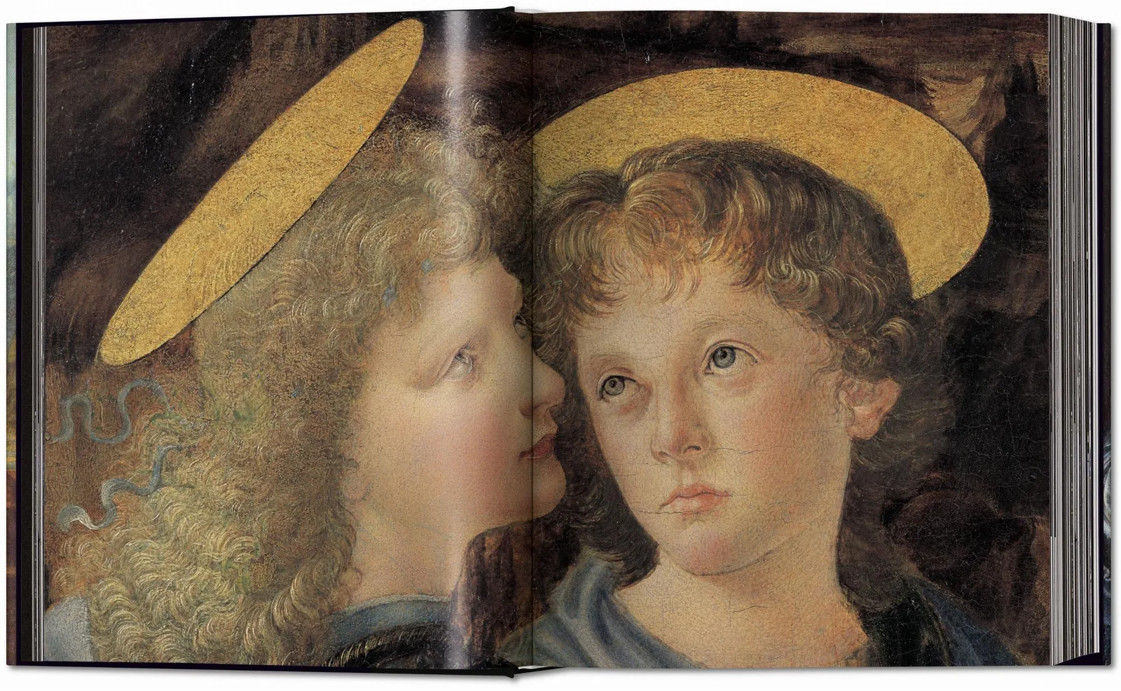 Leonardo