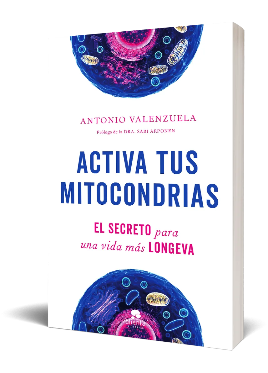 Activa tus mitocondrias