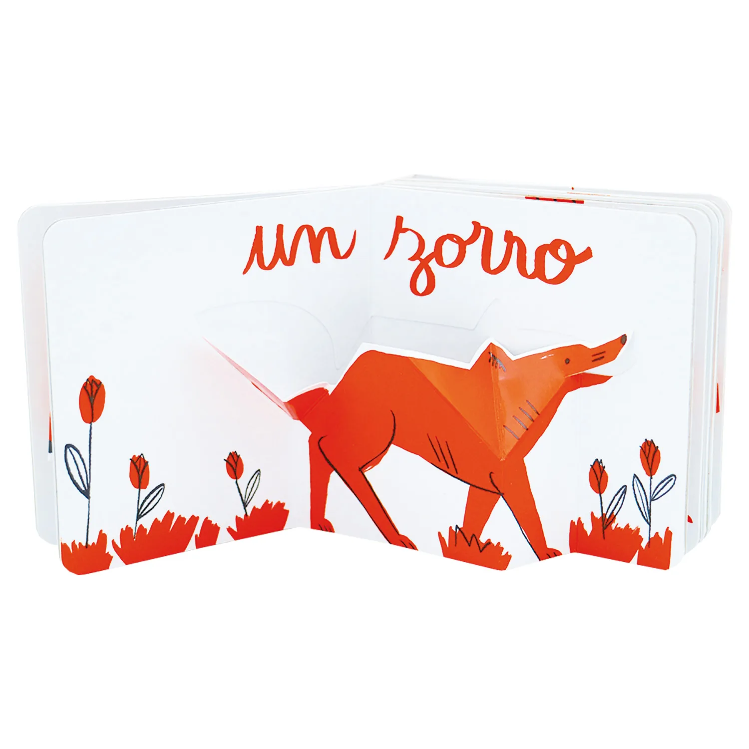 Naranja Pop