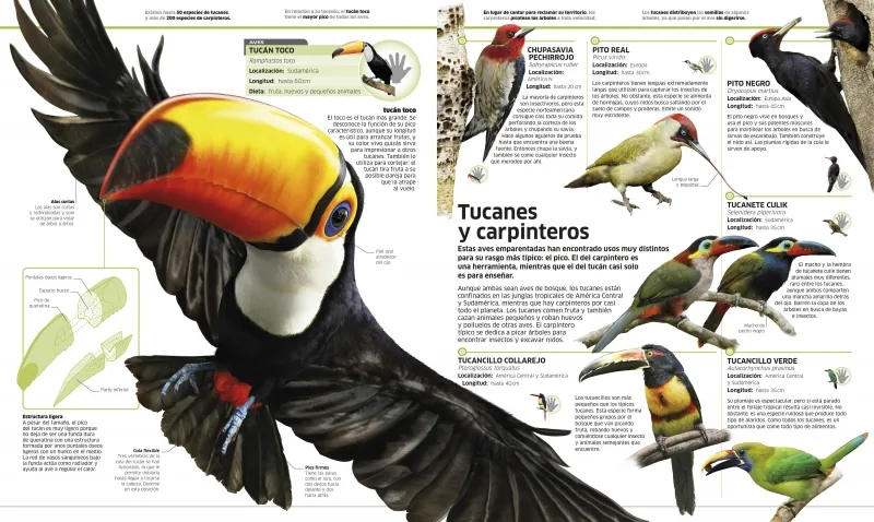 Animales (Mundo 3D)
